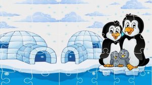 Arctic Animal Picture Puzzles